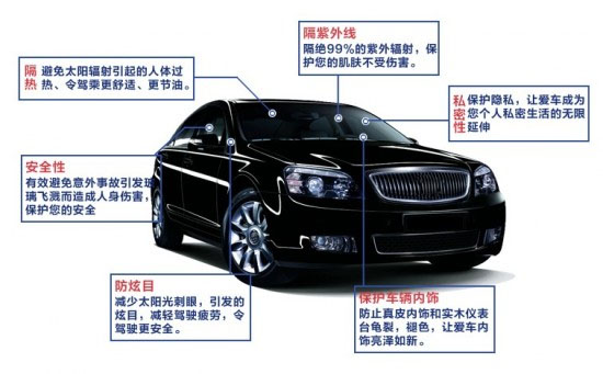 ��������Ĥ������