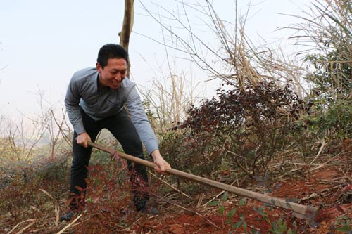 老师也在和学生一起参加植树活动