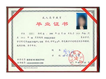 高中生学什么技术好